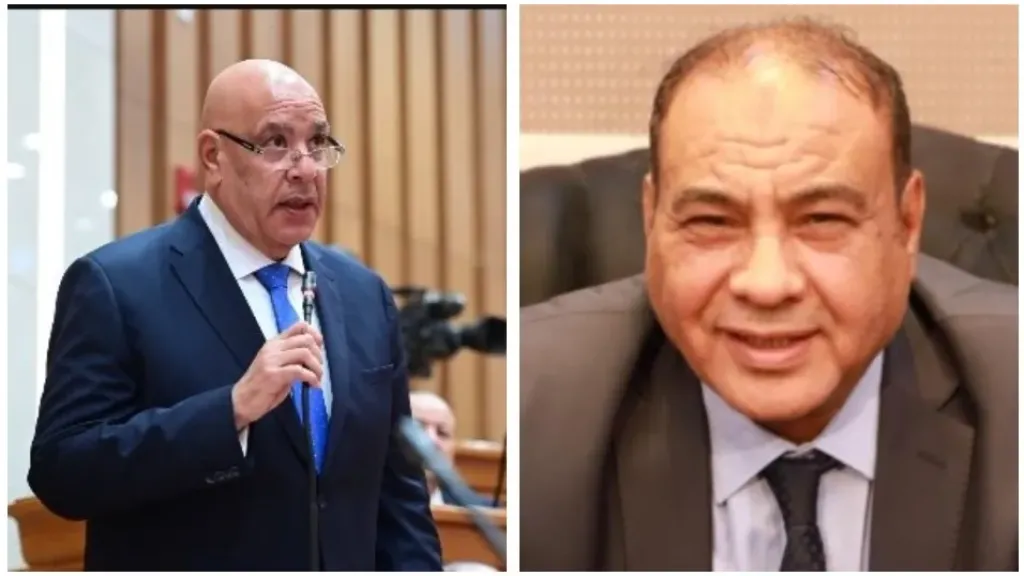 المستشار محمد سليم و المستشار هشام بدوي