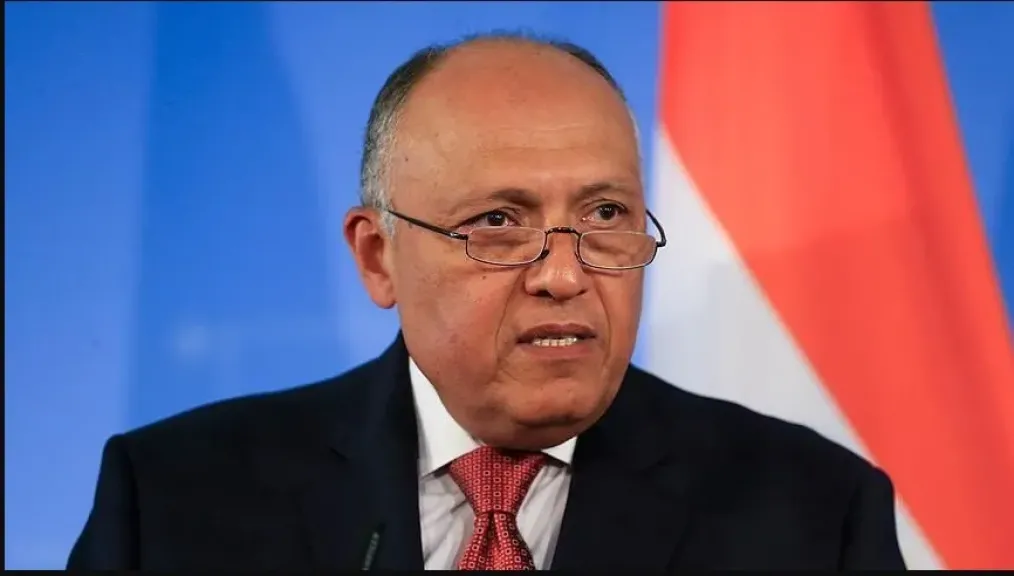 سامح شكري