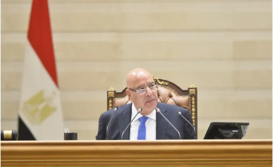 المستشار هشام بدوى