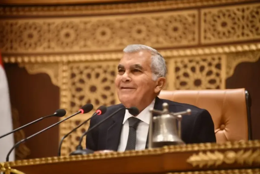 المستشار عصام فريد
