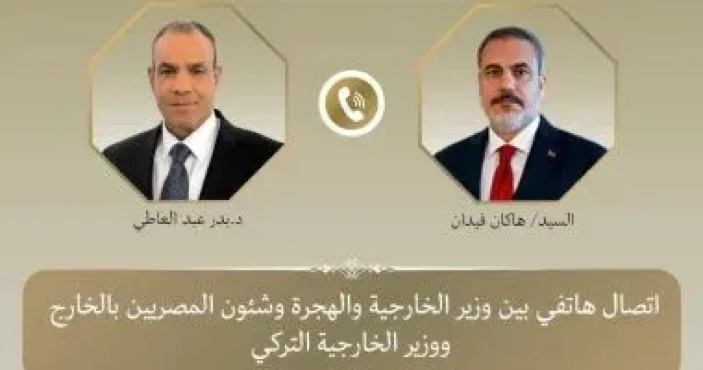 وزيرا خارجية مصر وتركيا