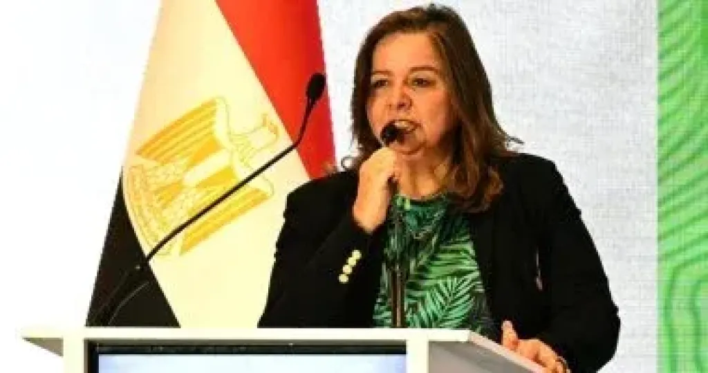 مي عبد الحميد 