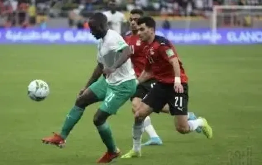 مصر والسنغال 