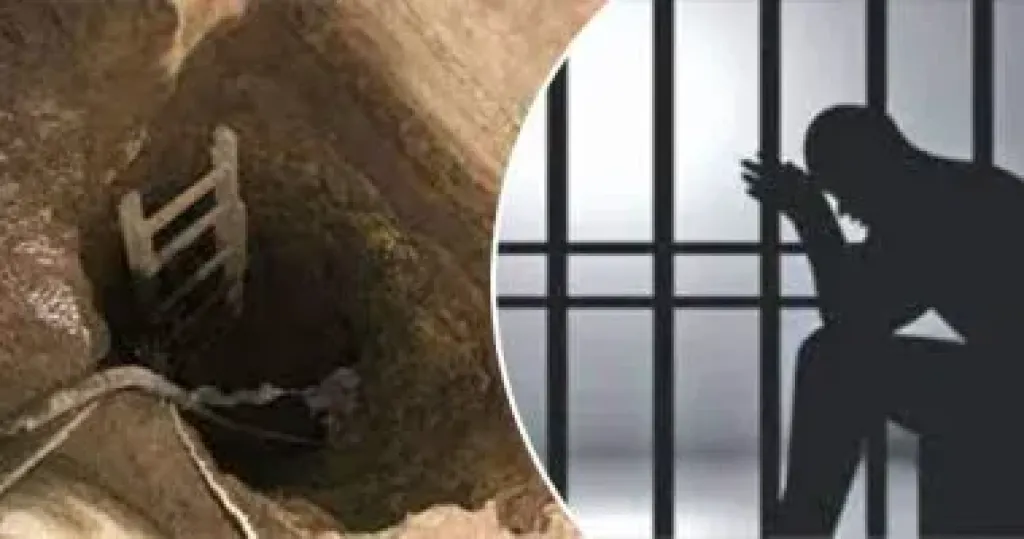 جرائم التنقيب غير المشروع عن الآثار