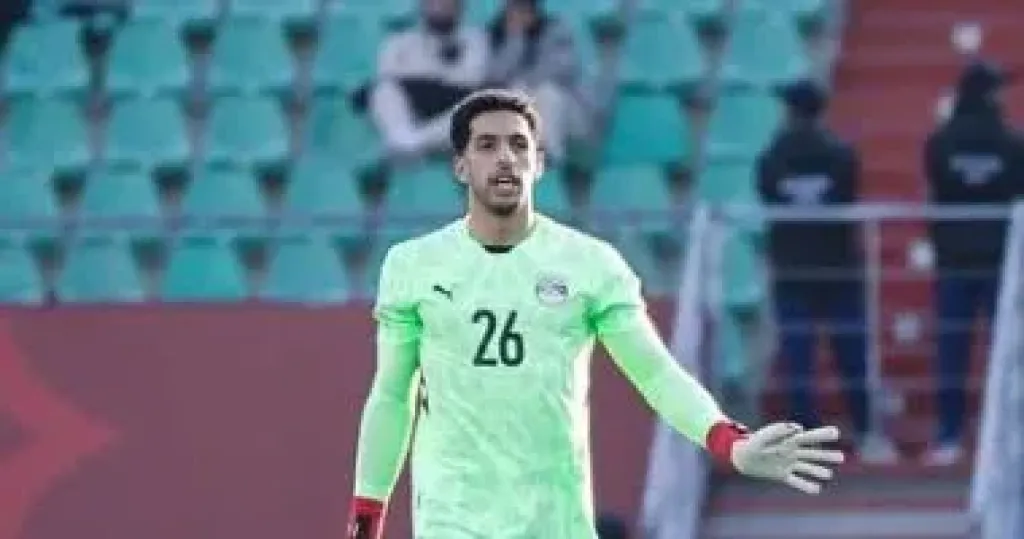 مصطفى شوبير