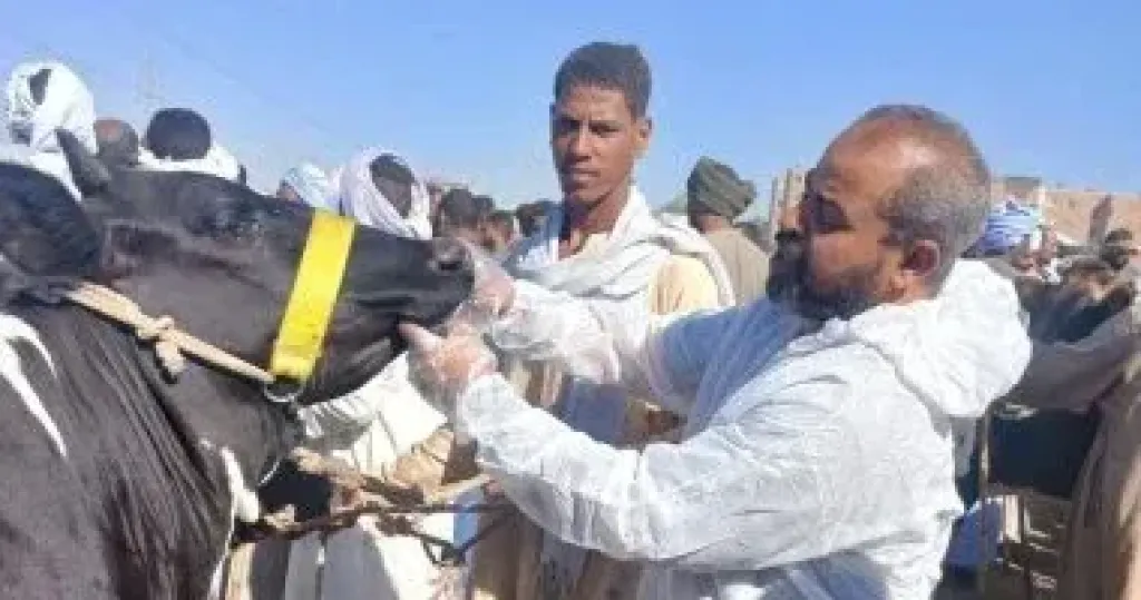الثروة الحيوانية 