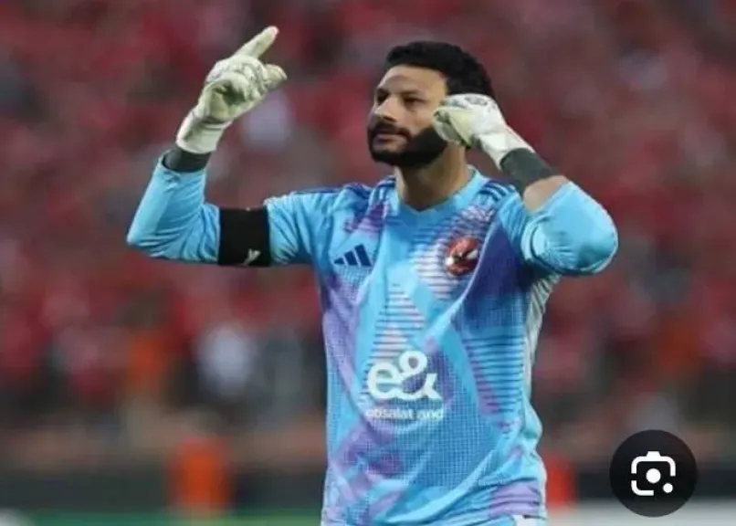 محمد الشناوي  