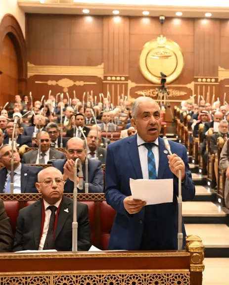 النائب أحمد العوضي