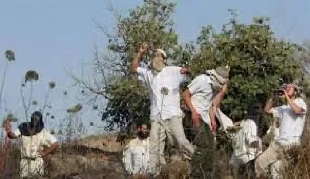 الضفة الغربية