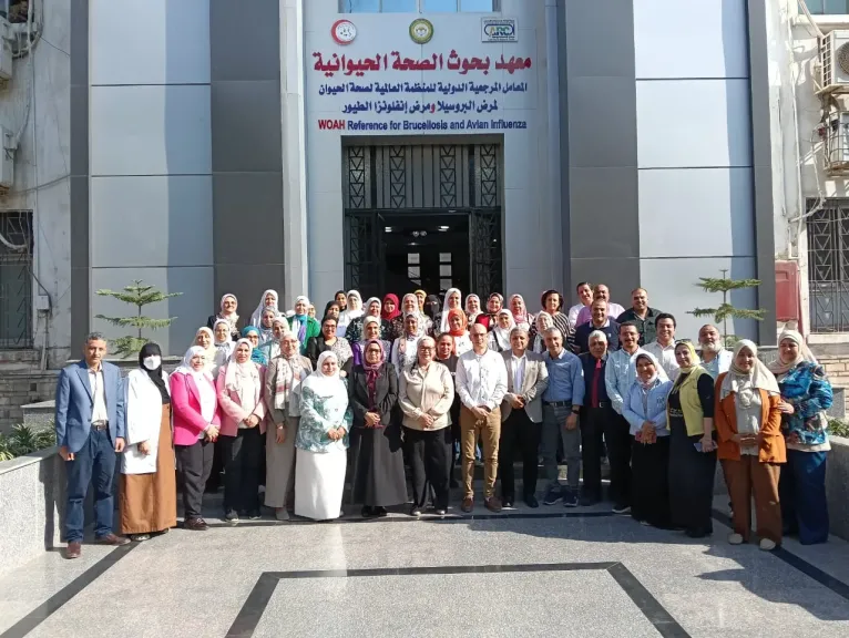 الصحة الحيوانية 
