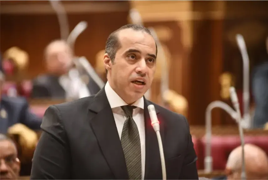 محمود فوزي 