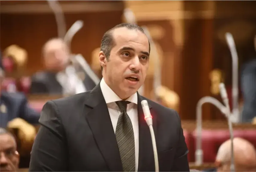 محمود فوزي 