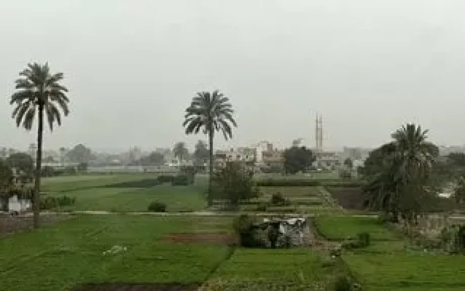 الزراعة 