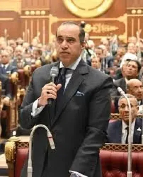 المستشار محمود فوزي، وزير الشئون النيابية