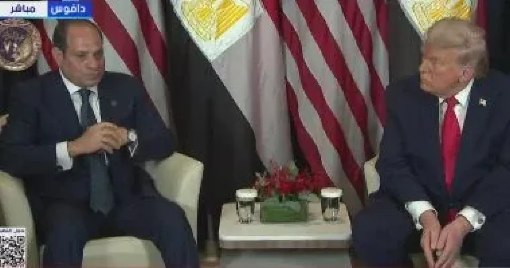 جانب من اللقاء 