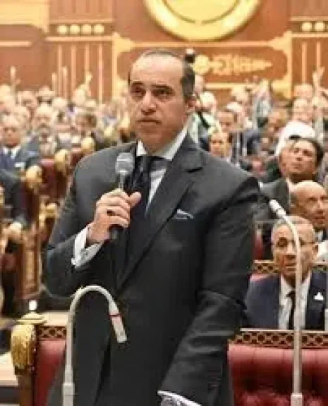 المستشار محمود فوزي