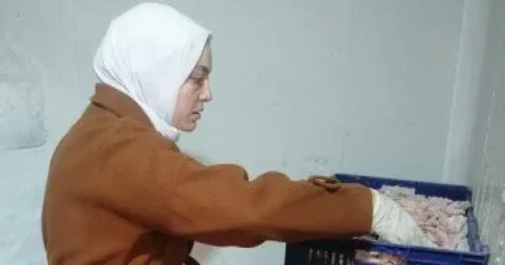 جانب من الحملات 