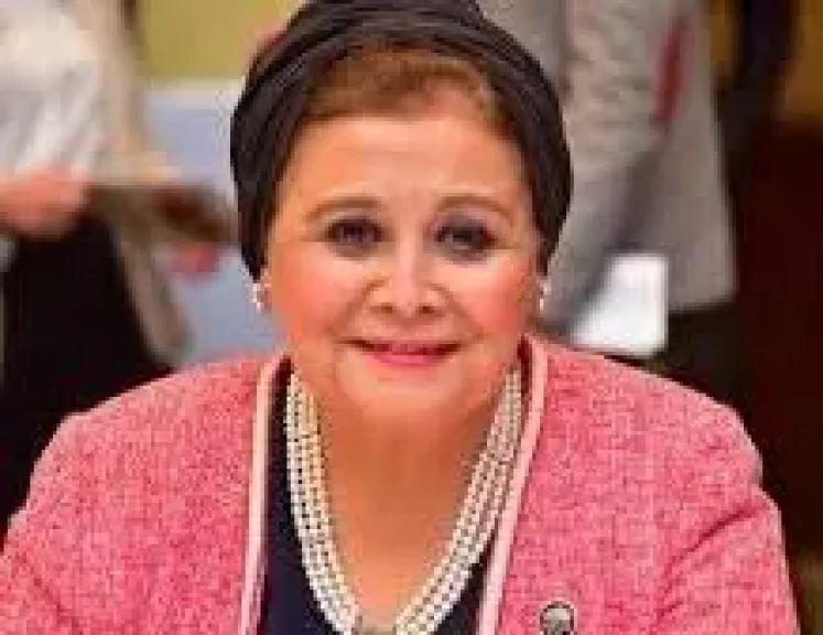 الدكتورة /عبلة الألفي نائب وزير الصحة والسكان لشئون السكان