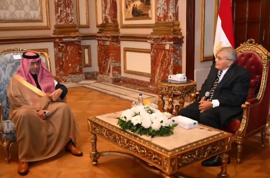 جانب من اللقاء 