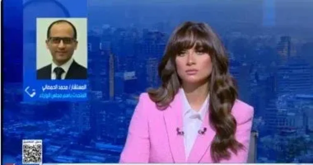 متحدث الوزراء 