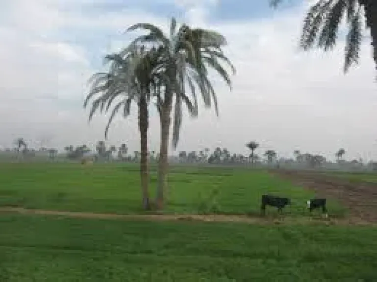 حالة الطقس