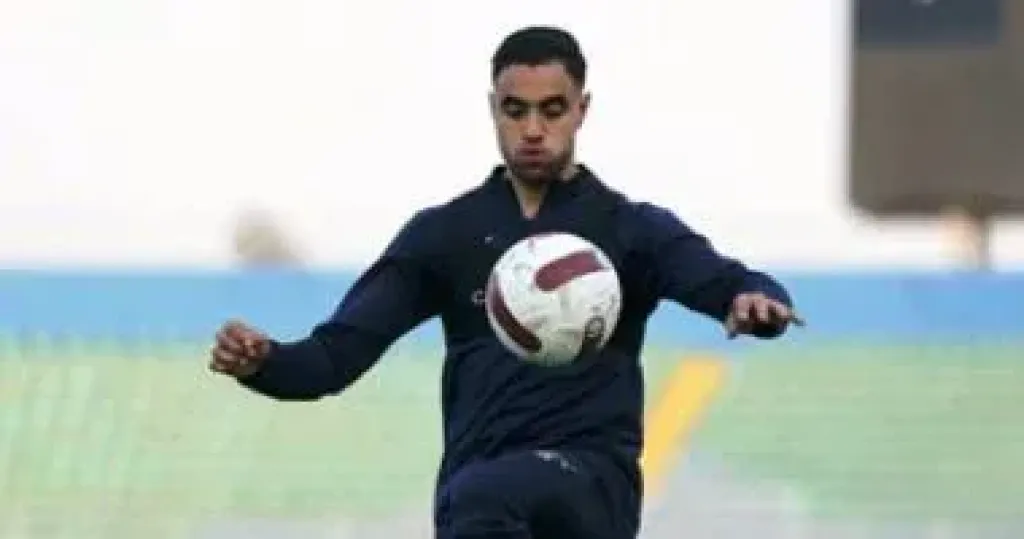 محمد الشيبى  
