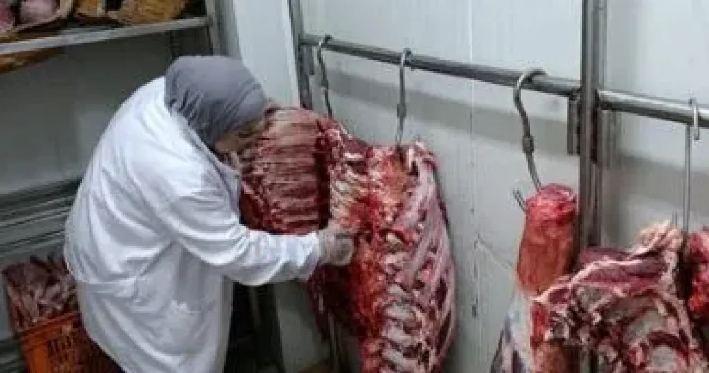 المضبوطات 