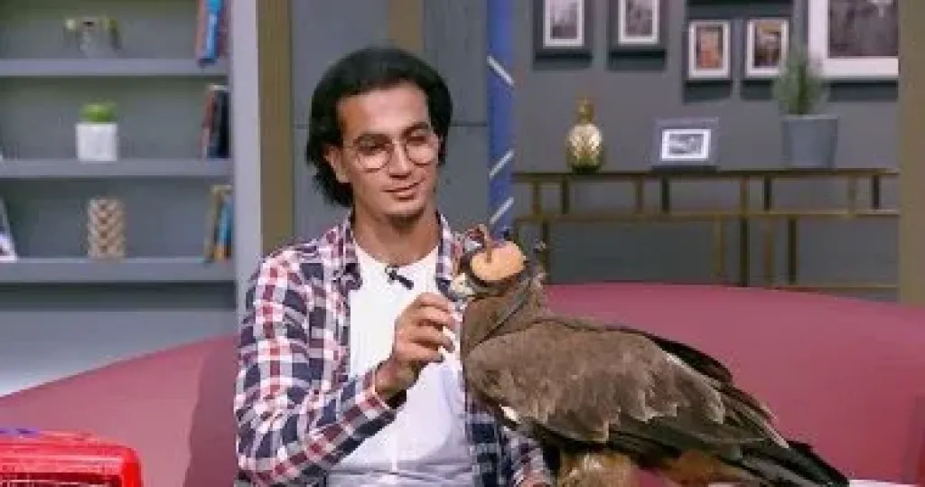 محمد وجيه