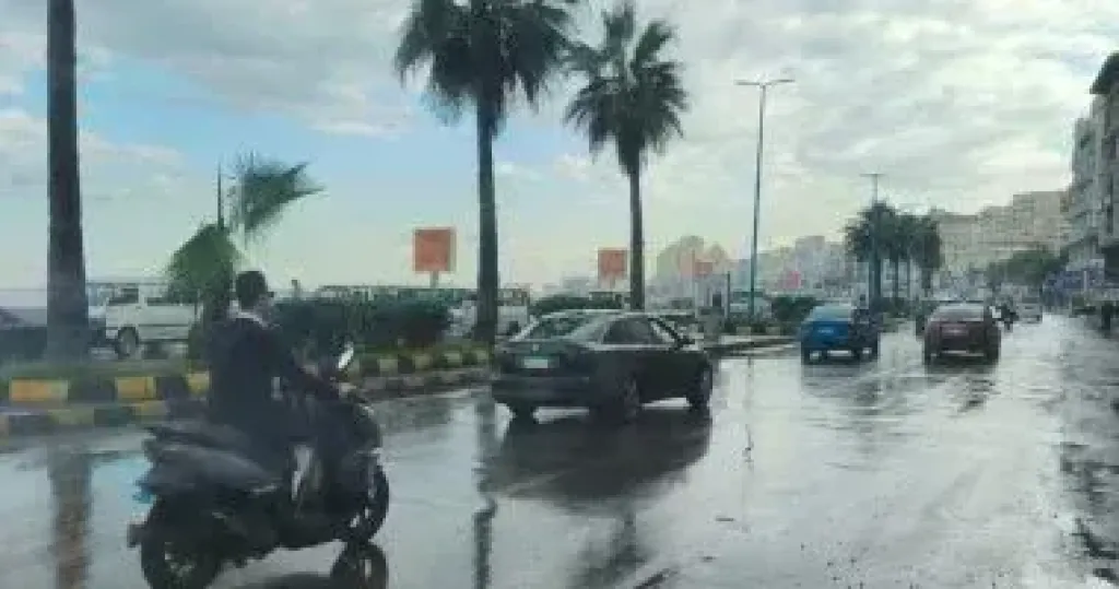 طقس الإسكندرية 