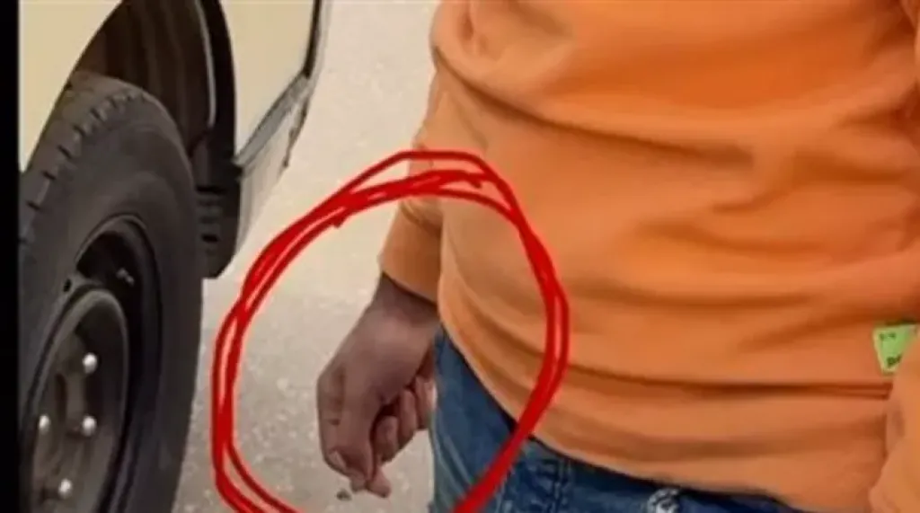 السائق 