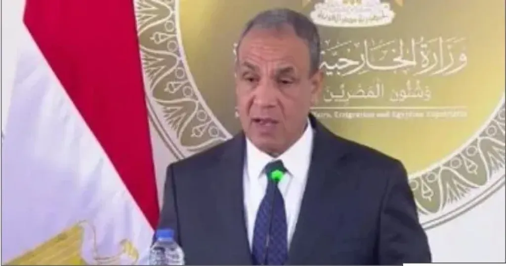 وزير الخارجية بدر عبد العاطى