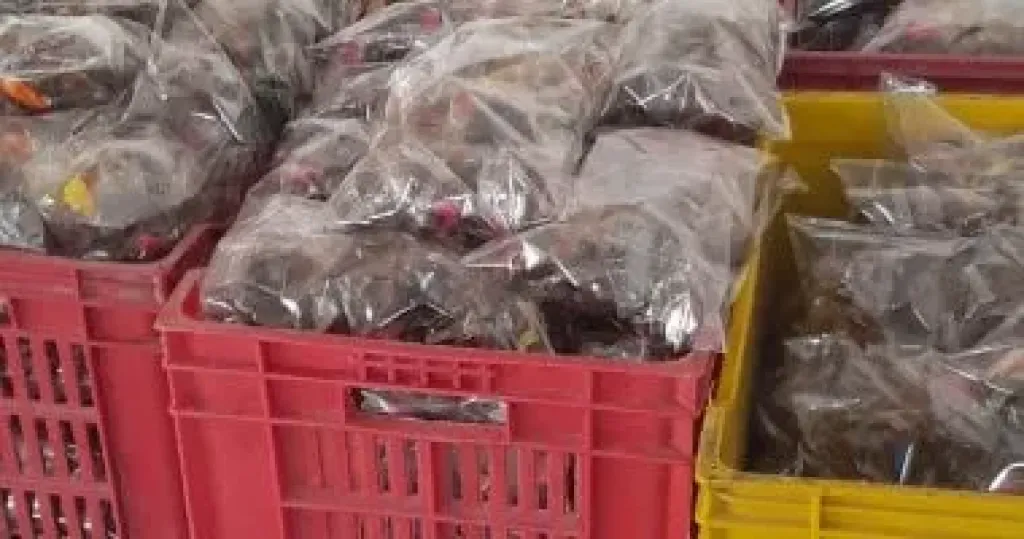 المضبوطات 