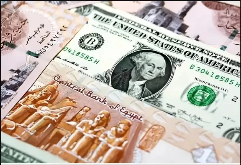 الدولار والجنية المصري 