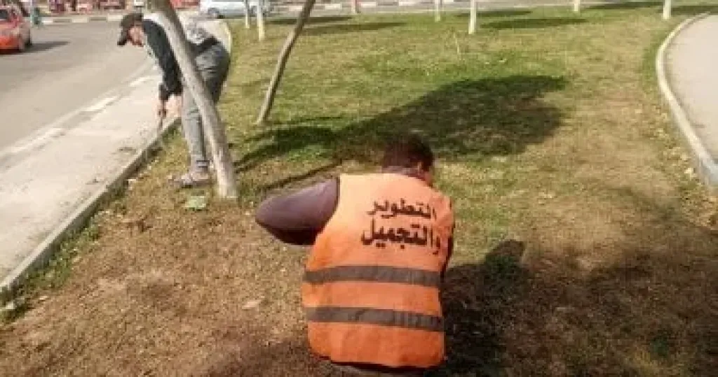 تجميل المسطحات الخضراء