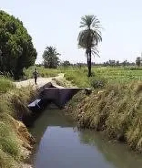 صوره راشفية 