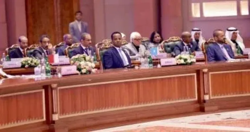 وزير الخارجية والتعاون الدولي الصومالي عبد السلام عبدي علي
