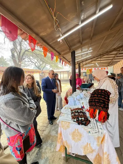 الجناح المصري 