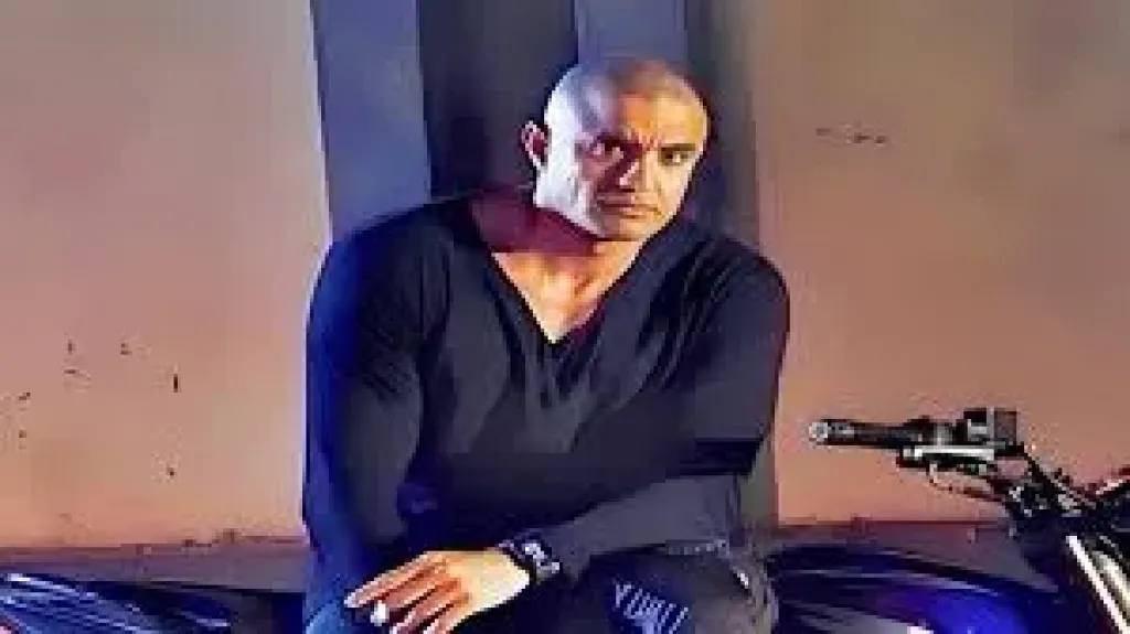 أحمد رمزى