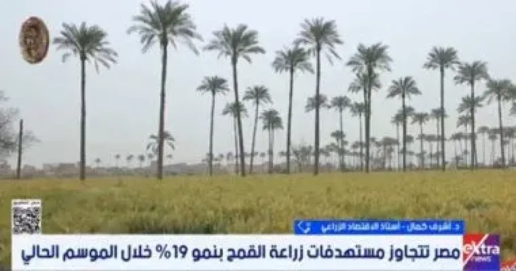 جانب من المداخلة 