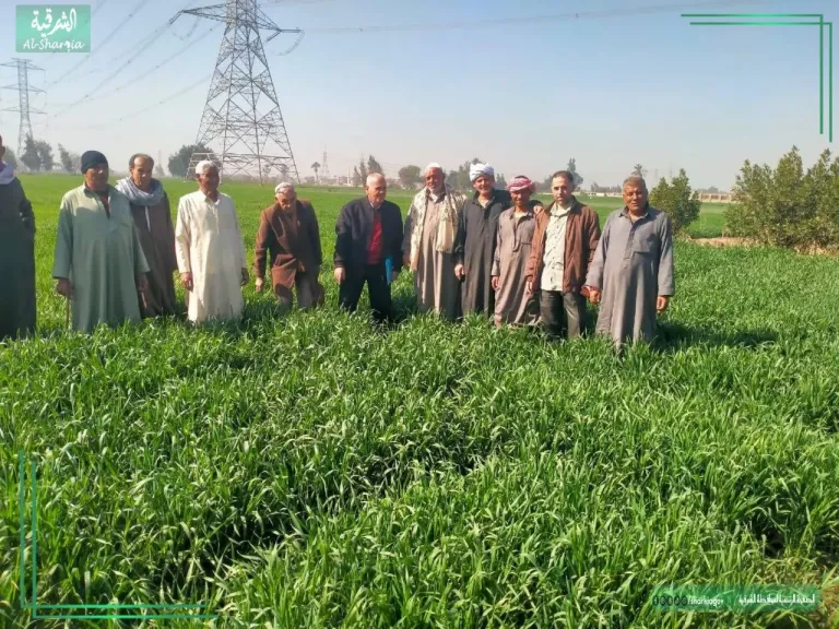 جانب من الندوات الارشاديه 