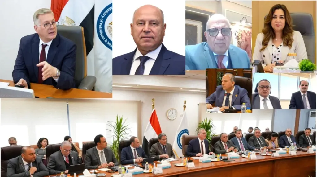 جانب من  الاجتماعات عبر تقنية الفيديو كونفرانس