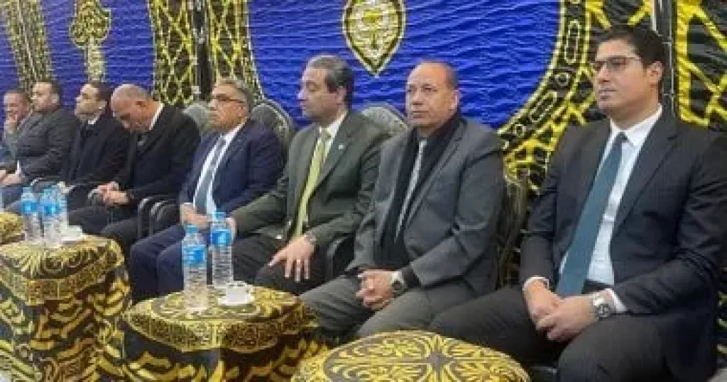 محافظ الدقهلية 