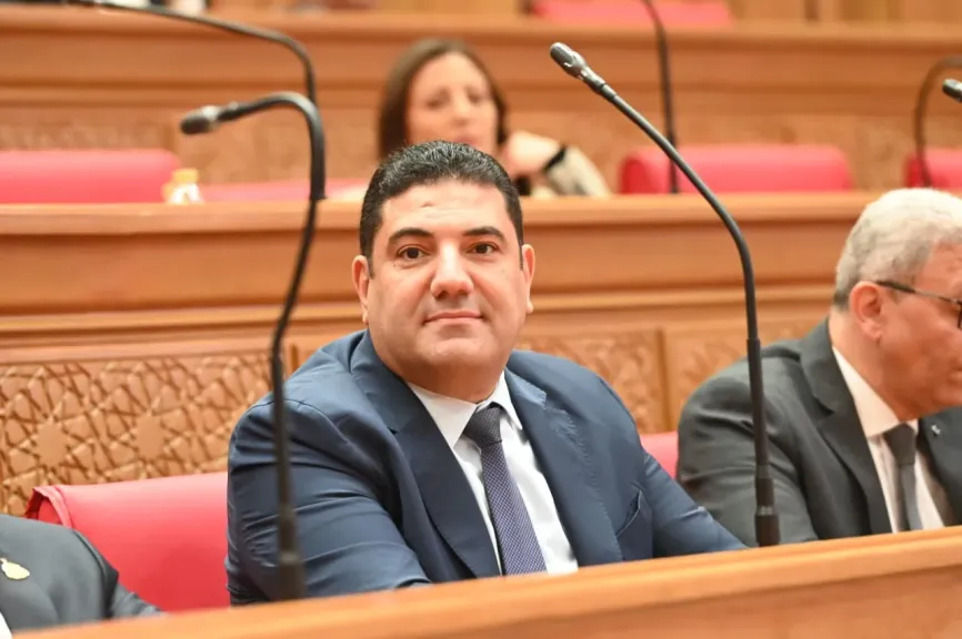 النائب أحمد عبد المجيد