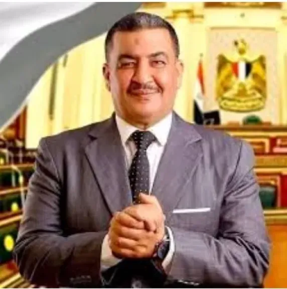  النائب محمود السيد المنوفي