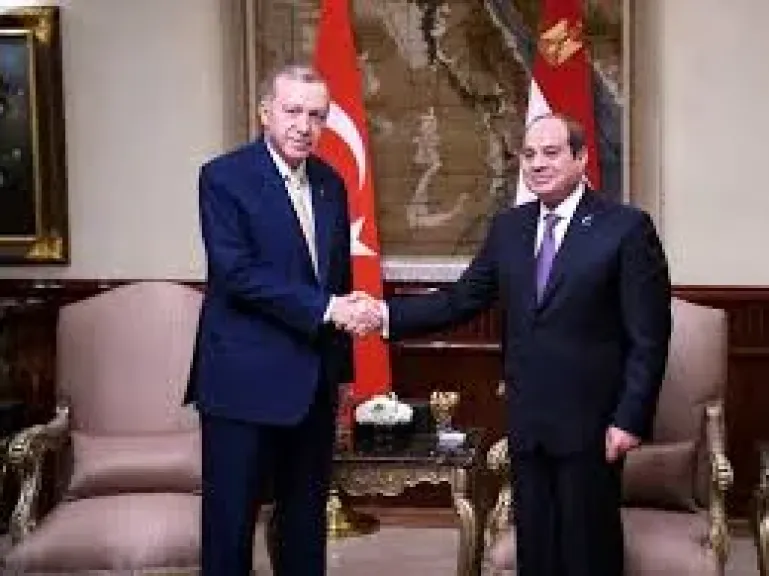 الرئيس السيسى و اردوغان 