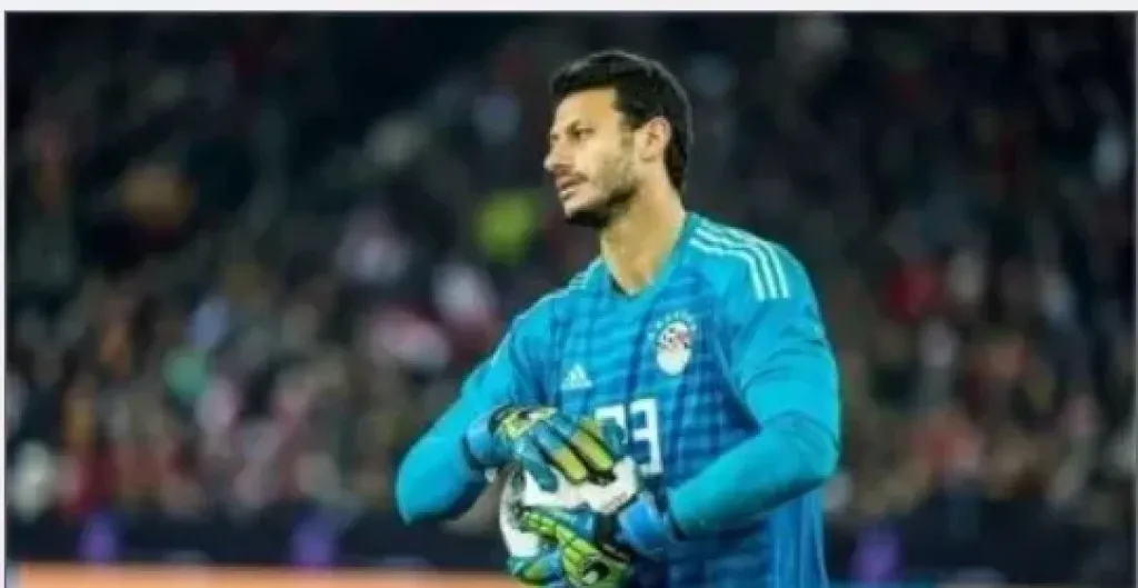 محمد الشناوي 