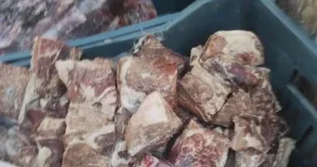 المضبوطات 