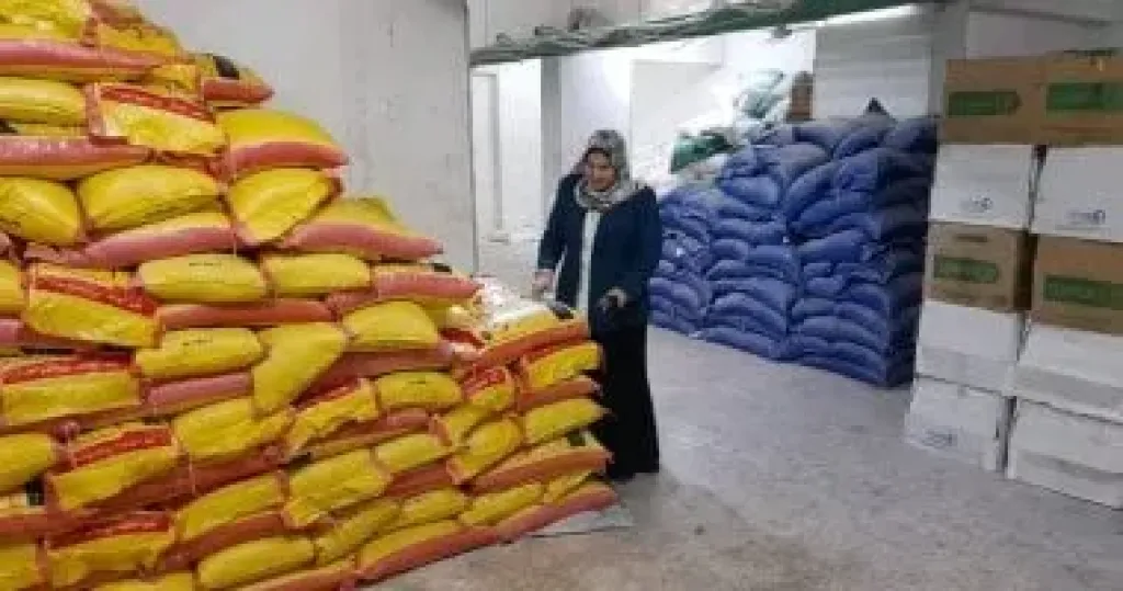 المضبوطات 