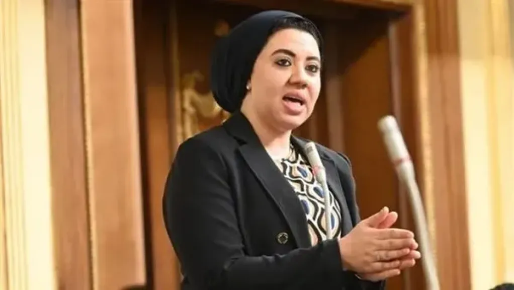 النائبة اميرة صابر 