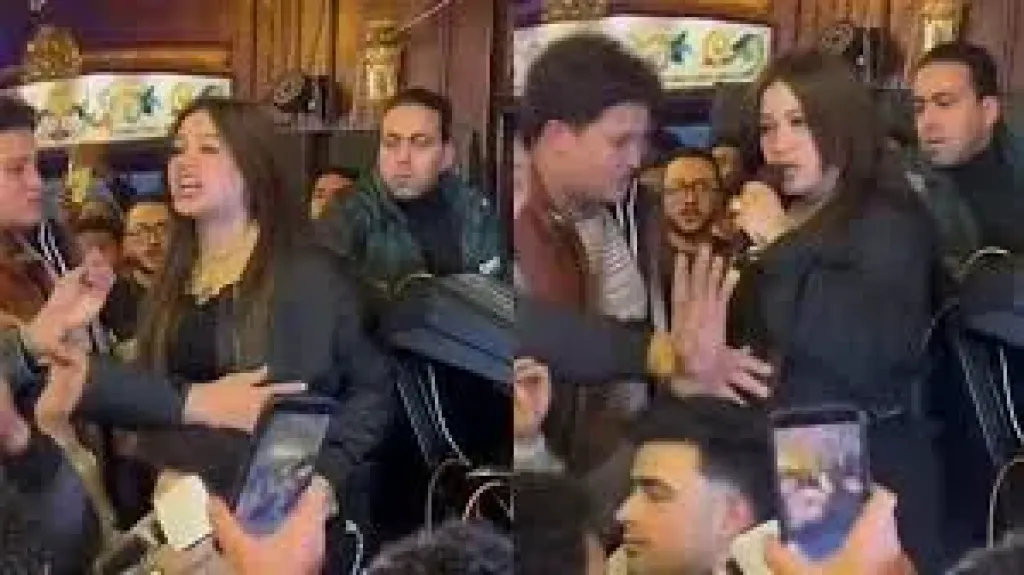 دينا الالفى